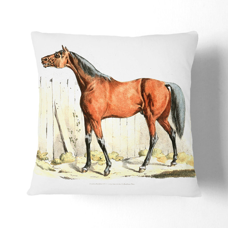 Dark-Brown Horse Square Throw Cushion, 55cm H x 55cm W x 20cm D