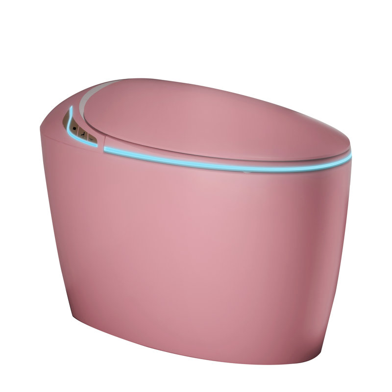 Intelligent One Piece Toilet, Auto Open Seat, Siphonic Flushing, Led Display, Fixture Warm Water,, Gray