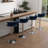 Ginko Modern Adjustable Bar Stools, Swivel Counter Stools with Upholstered Seat, Backrest, Footrest and Metal Frame for Kitchen and Home Bar -879564332-898201623-935555700