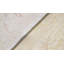 Ziegler Wool Oriental Area Rug
