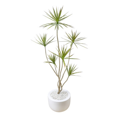 Dracaena Tree in Fiberstone Planter with Rocks