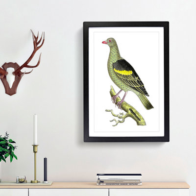 Olive-Green Pigeon by George Shaw - Picture Frame Painting Print