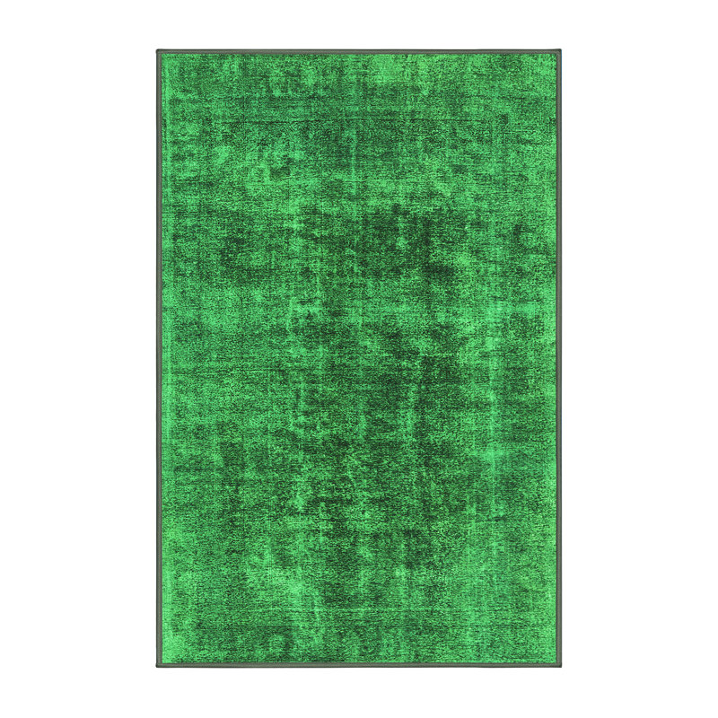 Washable Oriental Indoor Rug, Rectangle 4' x 6'
