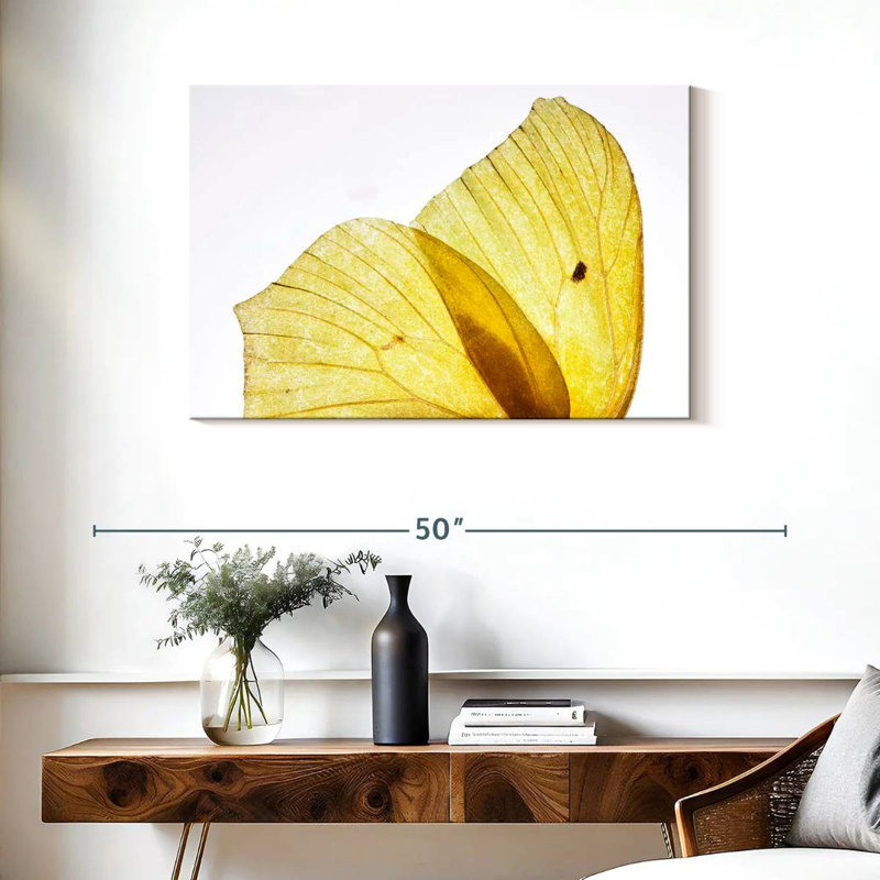 Ailes de papillon Brampt jaune doré, H 24 po x l 36 po
