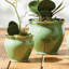 Conservatory Ceramic Planter-1609929133
