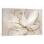 Transparent Beauty Lii - Wrapped Canvas Print-838013391-820488844