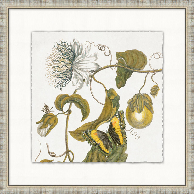 Garden Butterflies 8 Print