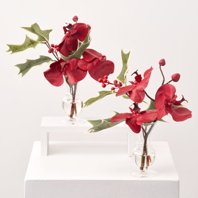 Élégante orchidée bourgogne et feuille de baies de houx dans un mini vase dans le Queensland