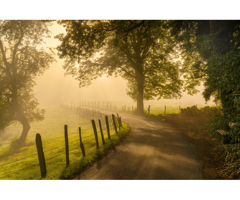 Wrapped Canvas Print, 50.8 cm H x 76.2 cm W