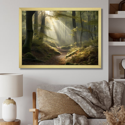 " Light Streams Through Forest III " Print