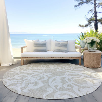 Chayden Washable Damask Indoor / Outdoor Rug
