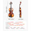 Violon de taille 3/4 pour adultes, ensemble de violon violon pour débutants avec étui rigide, colophane, arc, repose-épaules, chevalet, accordeur et cordes supplémentaires, instruments de musique professionnels en bois massif (brun)-126290536-126290538