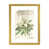 Gold Framed Paper is unavailable