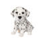  White Dalmation Decorative Puppy Figurine for Home & Garden Décor, Handpainted Polyresin Dog Statue, Realistic Design | Gift for Dog Lovers | Weather-Resistant Indoor/Outdoor Decor