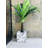 Wabbaseka Planter Box-1912506330-1912506331