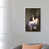 White Framed Canvas is unavailable