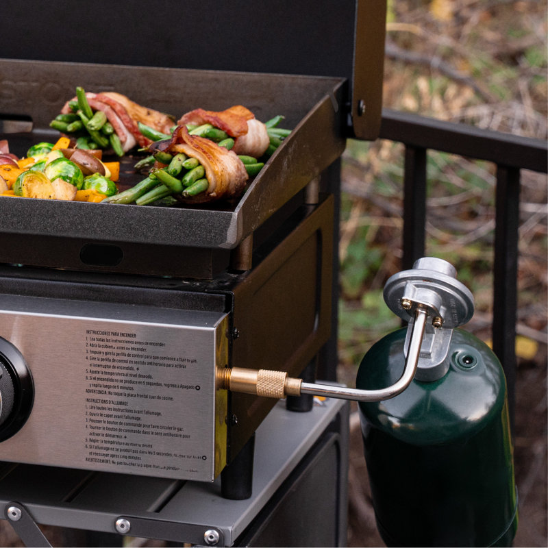 Blackstone 2-Burner 22" Propane Griddle with Hood