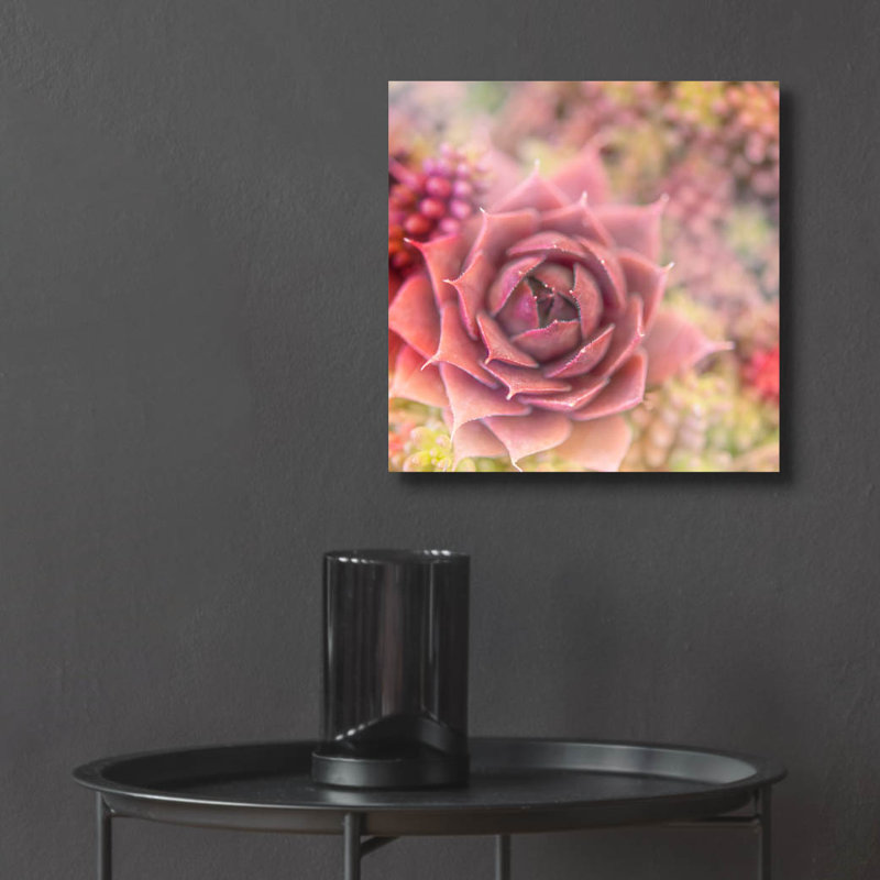 " Succulents 02 " by Lightbox Journal, 12" H x 12" W x 0.13" D