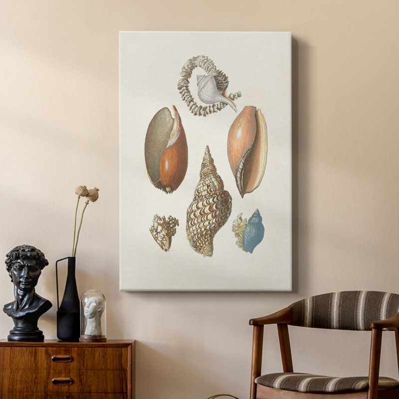 Knorr Shells & Coral I - galerie sur mesure Cavas, H 12 po x l 8 po
