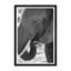African Elephant Framed Photographic Print