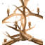 Rustic Lodge 10 - Light Chandelier-1210462333