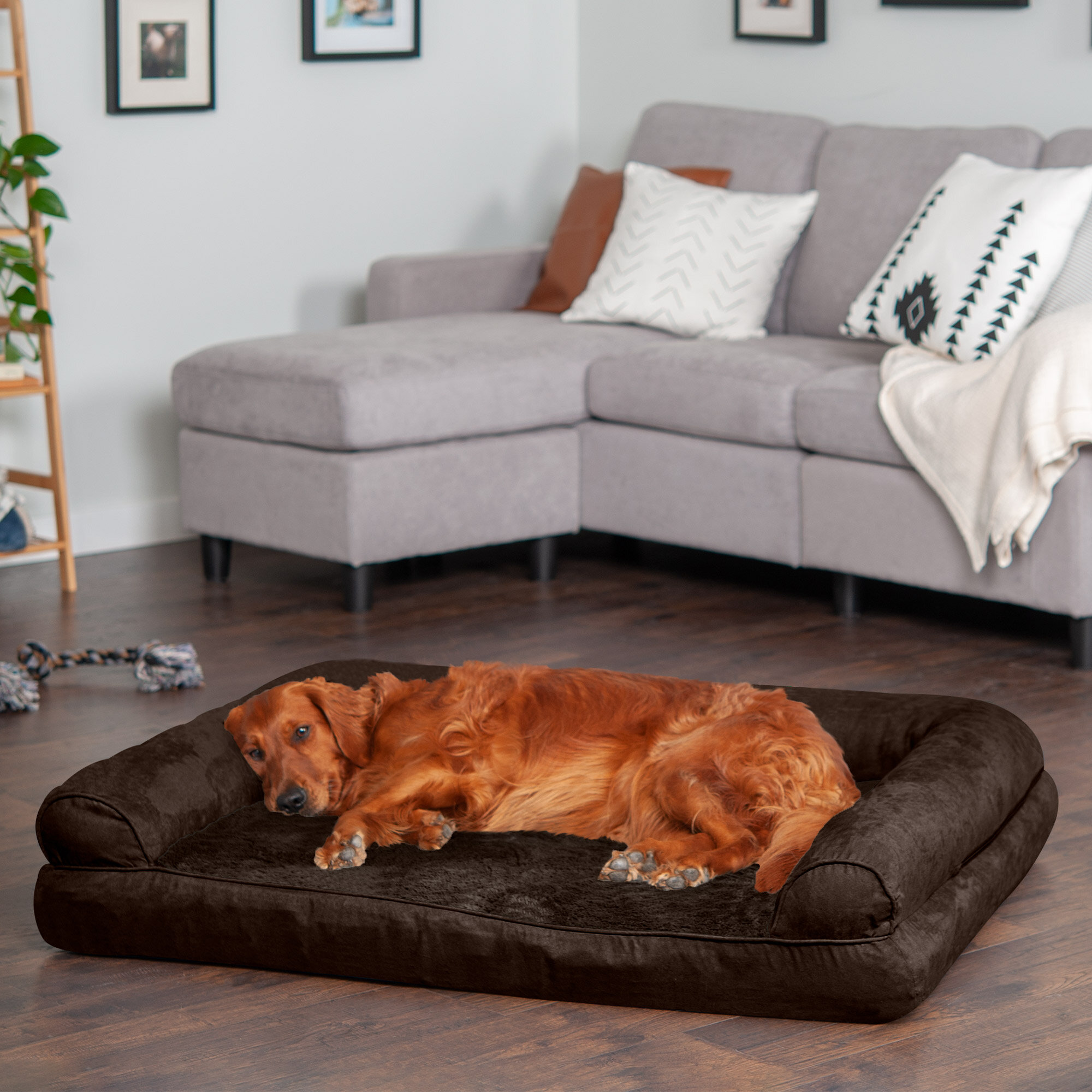 Furhaven plush & suede orthopedic 2024 sofa dog & cat bed