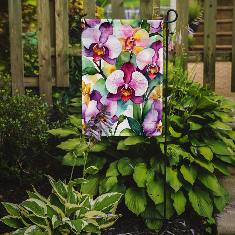 Drapeau de jardin d'orchidées, Orchidées phalaenopsis