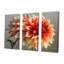 Ensemble de salon Orion - Dahlia-108457387-108457392
