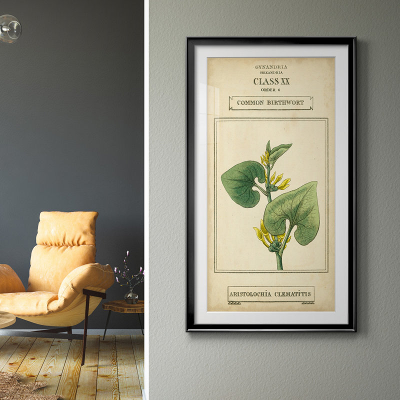 Linnaean Botany V - peinture sur toile encadrée, H 14,5 po x l 26,5 po x P 1,5 po, Noir