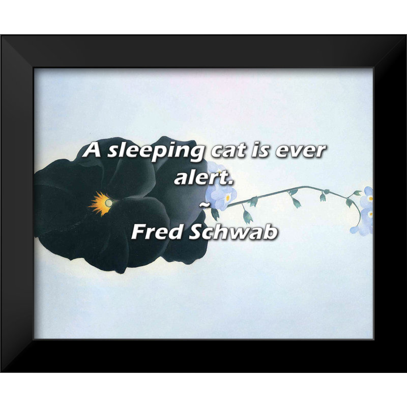 Citation de Fred Schwab: Un chat endormi est toujours en alerte.