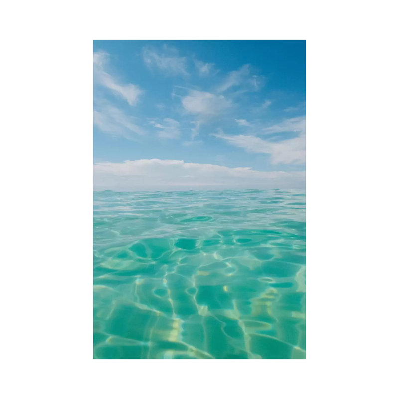 «Florida Water IV» par Bethany Young, reproduction de photo sur toile tendue, H 12 po x l 8 po x P 0,75 po