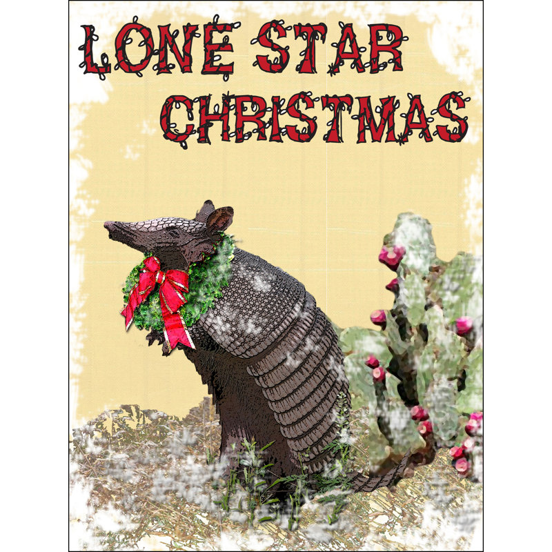 Plaque en métal Lone Star, H 11,5 po x l 8,5 po x P 0,04 po