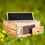 Boîte profonde Syretta Bee Hive