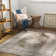 Bria Machine Washable Oriental Chenille Area Rug with Canvas Backing
