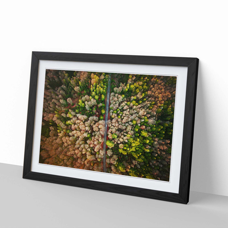 Separating the Forest - Picture Frame Graphic Art Print, 40cm H x 60cm W x 2cm D, Black