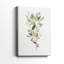 Leafy Botanical II - Cavas enveloppés de galerie-986940660
