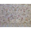 One-of-a-Kind 9'3" X 12'4" Area Rug