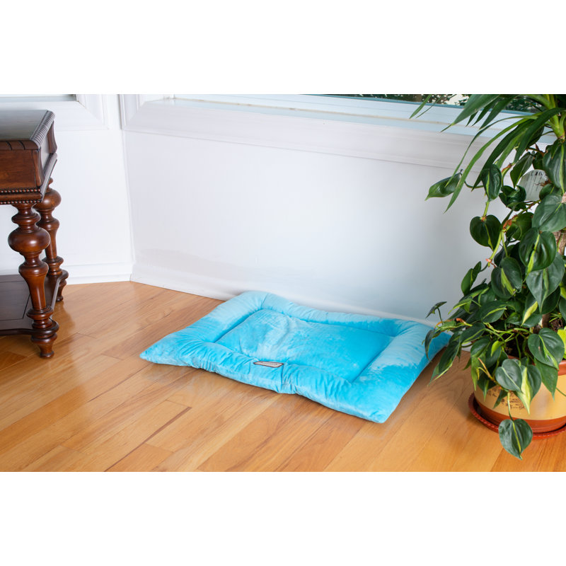 Large Sky Blue Velvet Pet Bed Mat with Padded Border
