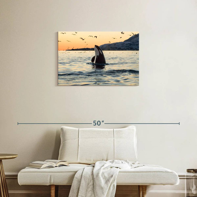 Baleine espion espion, H 20 po x l 30 po