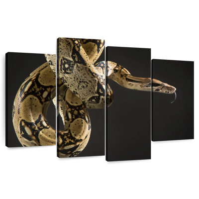 Serpent brun Brampt