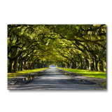 The Path Home Print