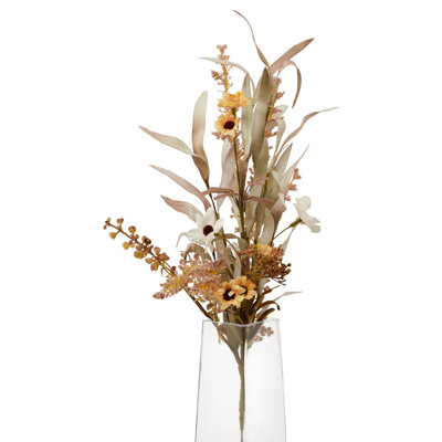 Anastasija Arrangement