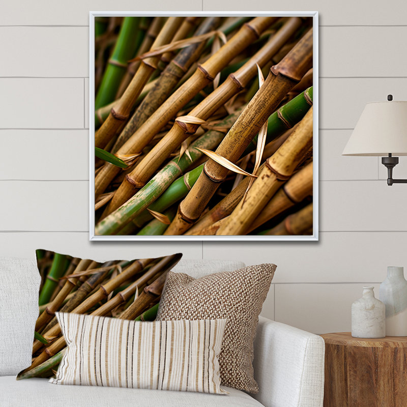 Bamboo Field Close Up I - Impression sur toile de bambou_106660, Cadre flottant blanc, H 36 po x l 36 po x P 1,5 po