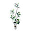 Plant-1426937627