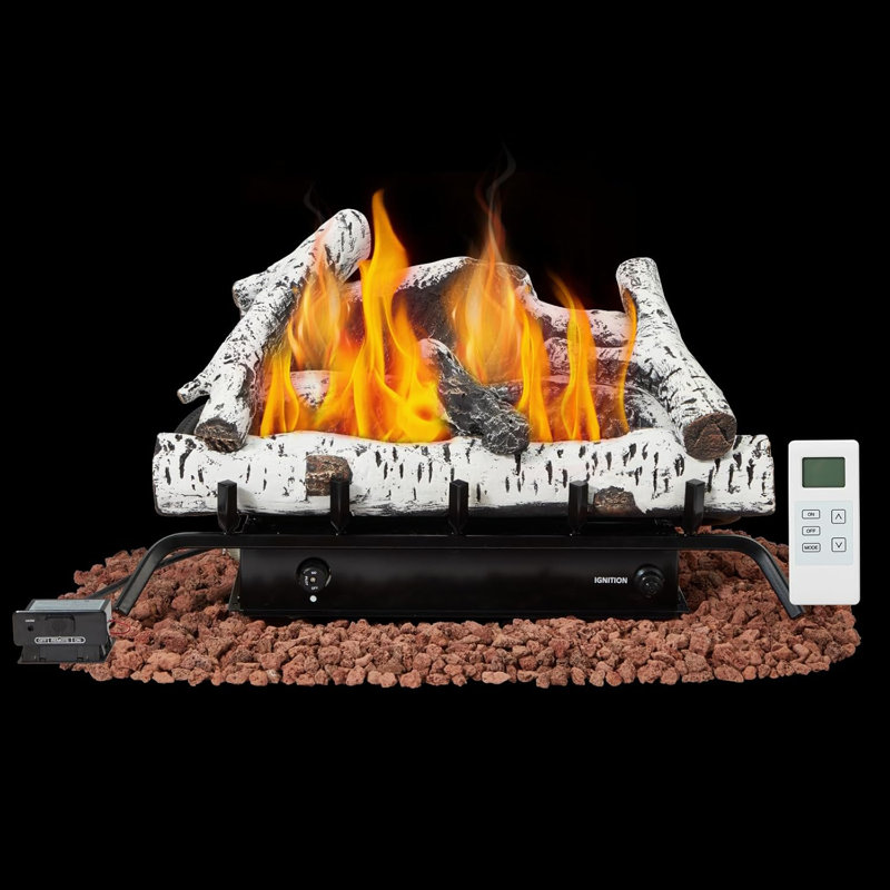 Ensemble de bûches pour foyer sans gaz 24 pouces - au gaz naturel - télécommande, 32 000 BTU, fabriquée en bois de bouleau, blanc