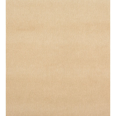 Essential Velvets Fabric