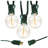 Bailey-Mai Electric LED Globe String Lights with 25 Clear Bulbs