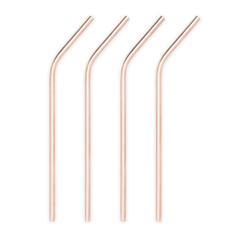 Paille en acier inoxydable Mercer