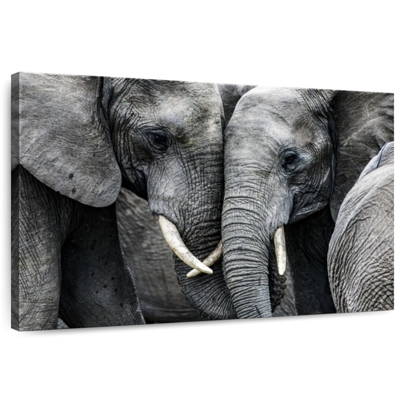 Brampt Sweet Elephants, 32" H x 48" W