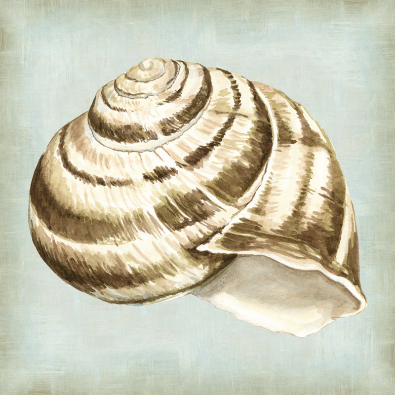 «Sea Dream Shells I», peinture sur toile, H 12 po x l 12 po, Toile tendue